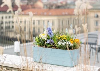 1909746026_4 - 113819