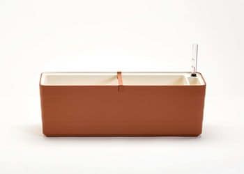 1909746003_1 - 113814