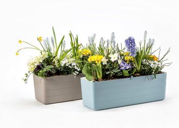 19097460xx_2 - 113812