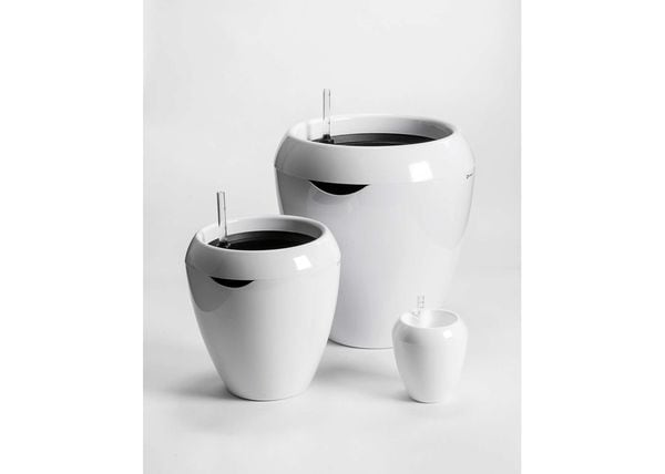 1101303539_90 - 113840