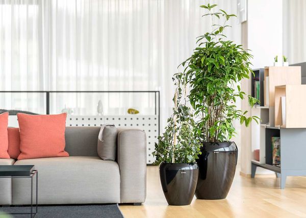 1101303538_3 - 113858