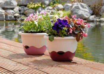 180854xxxx_4 - 113922