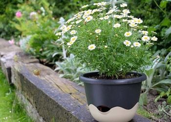 180854xxxx_6 - 113924