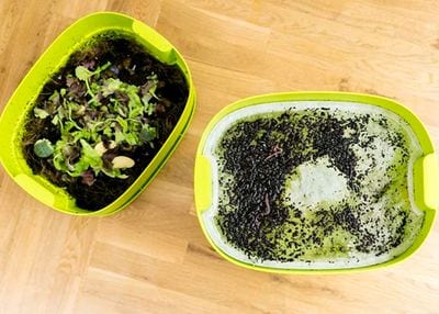 1606965030_4 - 1073300